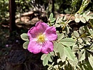 photo thumbnail #13