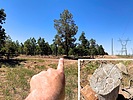 photo thumbnail #5