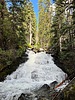 photo thumbnail #5