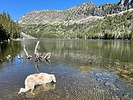 photo thumbnail #7