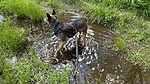 photo thumbnail #11
