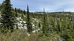 photo thumbnail #13