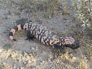 photo thumbnail #6