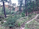 photo thumbnail #4