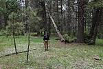 photo thumbnail #4