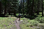 photo thumbnail #5