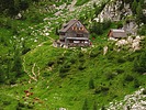 photo thumbnail #14