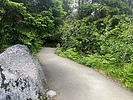 photo thumbnail #12