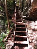 photo thumbnail #8