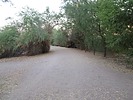 photo thumbnail #1