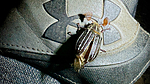 photo thumbnail #1