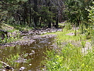 photo thumbnail #15