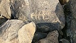 photo thumbnail #6