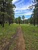 photo thumbnail #14