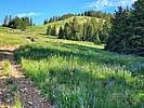photo thumbnail #7