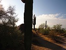 photo thumbnail #2
