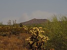photo thumbnail #6