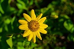 photo thumbnail #6