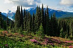 photo thumbnail #7