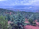 photo thumbnail #4