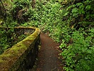photo thumbnail #15