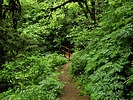 photo thumbnail #13