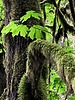 photo thumbnail #14