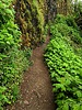 photo thumbnail #14