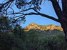 photo thumbnail #1