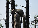 photo thumbnail #14