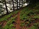 photo thumbnail #11