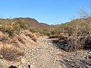 photo thumbnail #9