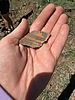 photo thumbnail #12