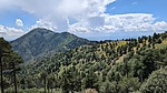 photo thumbnail #14