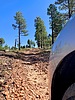 photo thumbnail #2