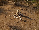photo thumbnail #2