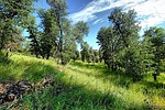photo thumbnail #13