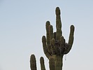 photo thumbnail #4