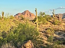 photo thumbnail #4