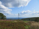photo thumbnail #12