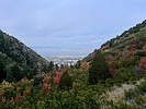 photo thumbnail #2