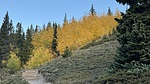 photo thumbnail #2