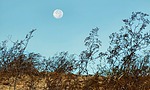 photo thumbnail #2