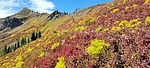 photo thumbnail #3