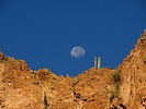 photo thumbnail #9
