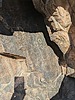 photo thumbnail #12