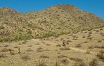 photo thumbnail #4