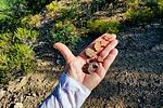 photo thumbnail #13