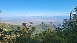 photo thumbnail #4