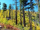photo thumbnail #6